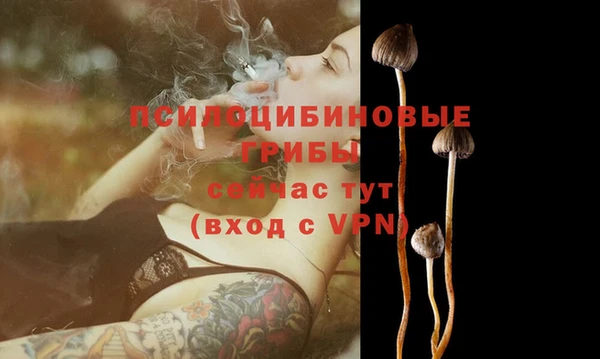дживик Аркадак