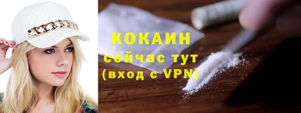 дживик Аркадак