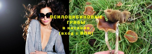 дживик Аркадак