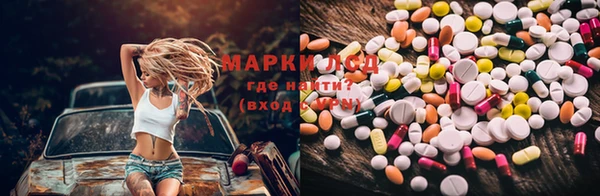 дживик Аркадак